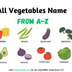 200+ Vegetables Name in English, Hindi & Urdu with Pictures