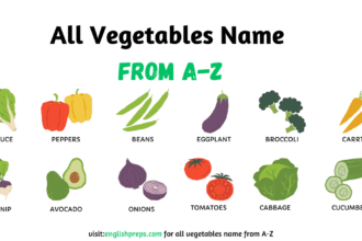 200+ Vegetables Name in English, Hindi & Urdu with Pictures