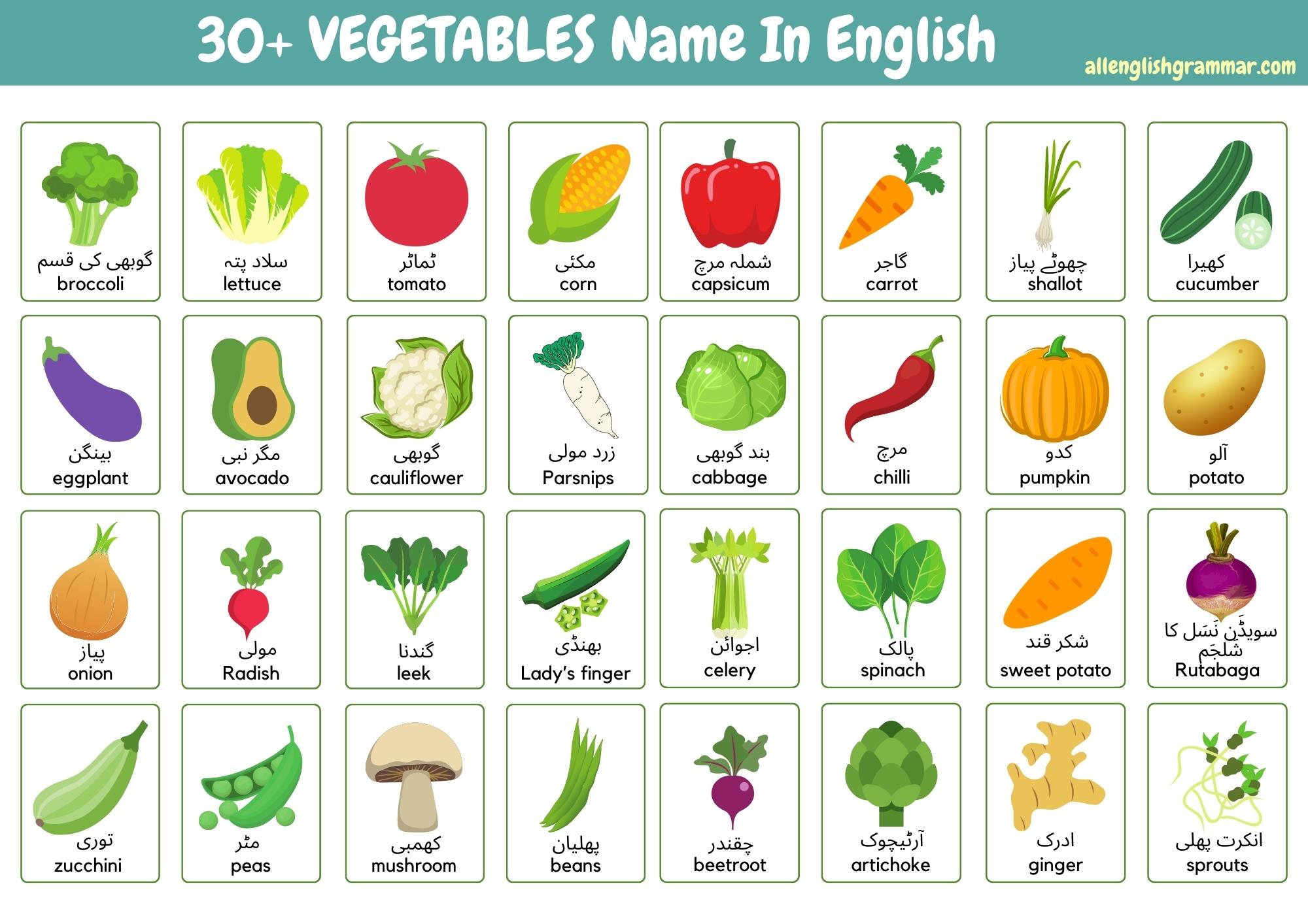 30+ Vegetables Name in English and Urdu