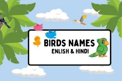 300 Birds Name - List of Birds Names in English and Hindi