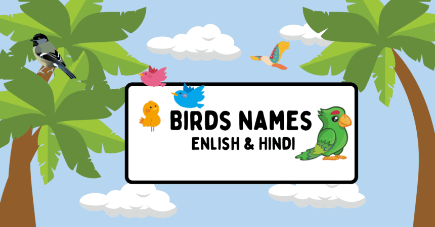 300 Birds Name - List of Birds Names in English and Hindi